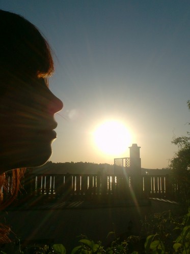 sun.