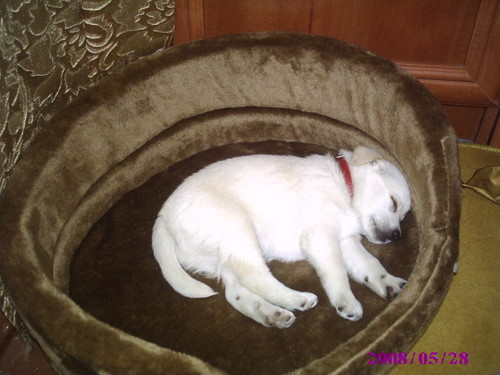 NERU=****