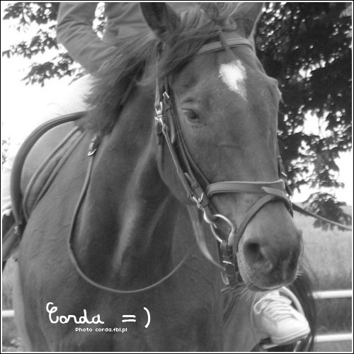 Corda =) 