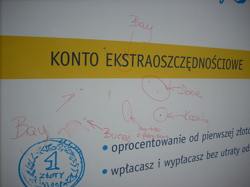 Kozyy