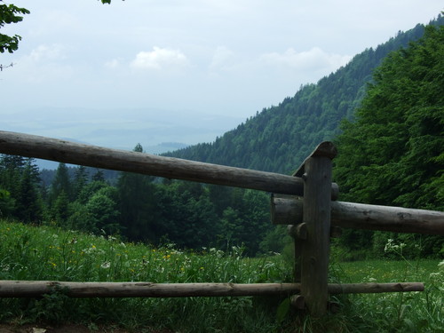 Szlak na Trzy Korony