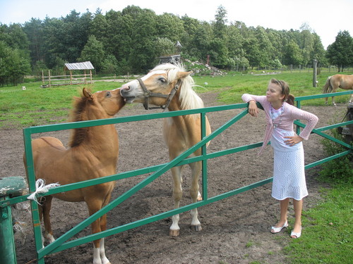 W Zoo