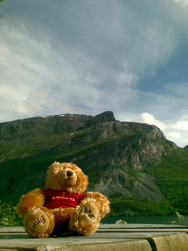 Misiek w Norwegi