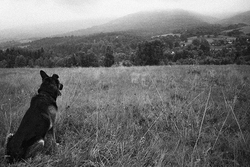 Jakiez te Bieszczady piekne