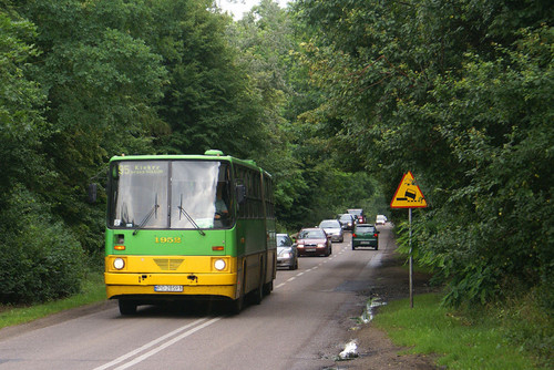 IKARUS 280 #1952