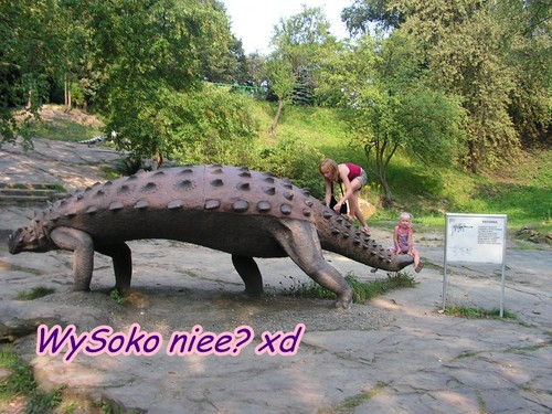 Nadzieja?