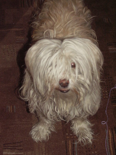 Mika