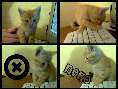 Neko