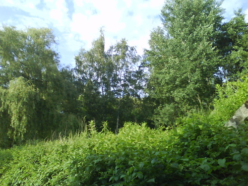 Pierwsza Notka :D