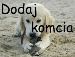 Hejka!