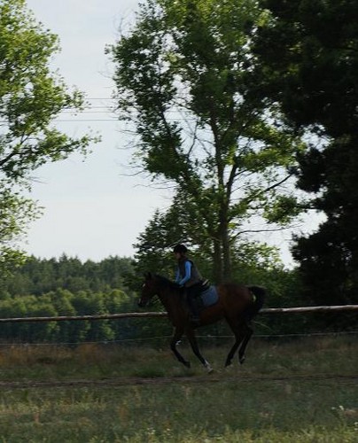 Galop