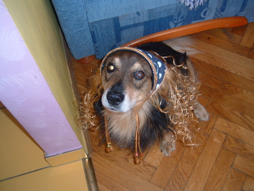 Misio