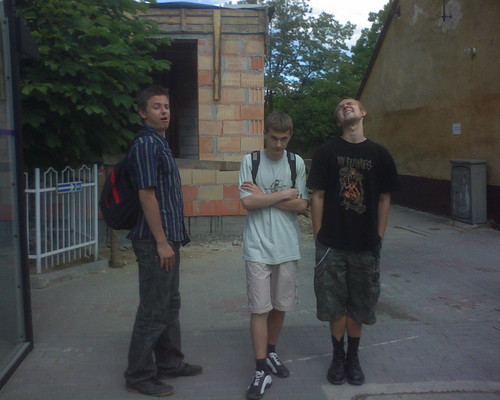 Bart , Wald , Kali