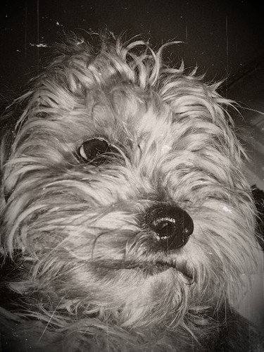 Eloo.