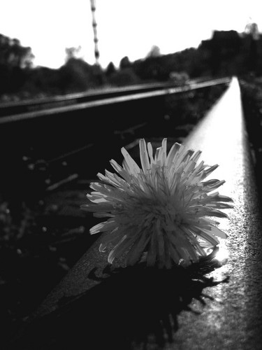 don' be sad...