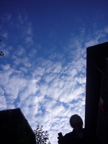 Lucy in the Sky