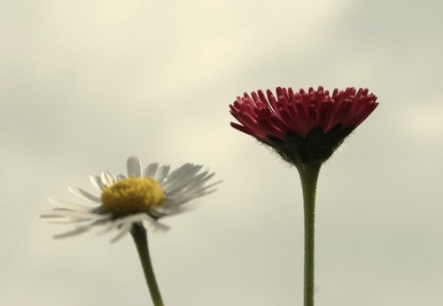 87
