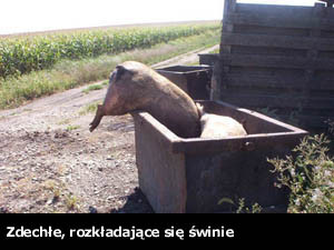 wiee winki!!