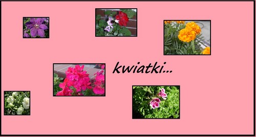 kwiatki...