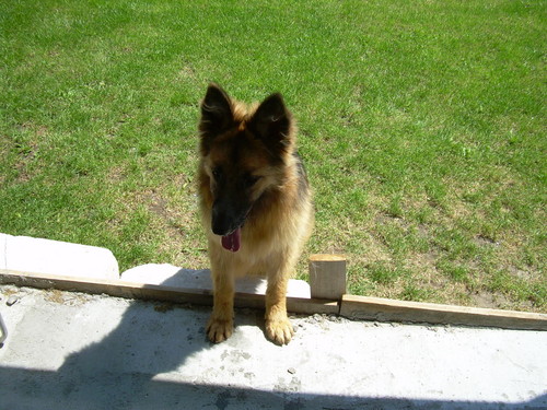 ASTI