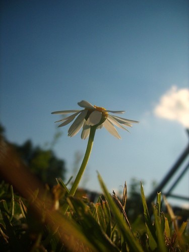 ostatnia.