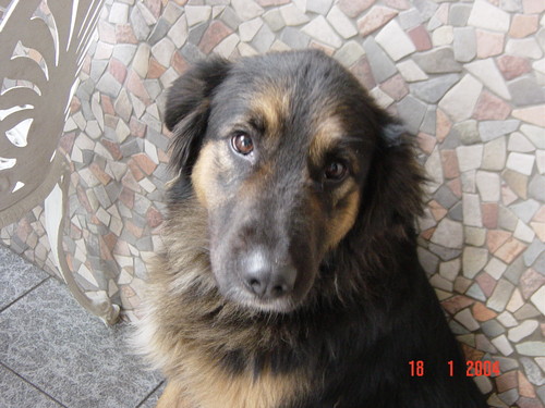 Dinka ;* 
