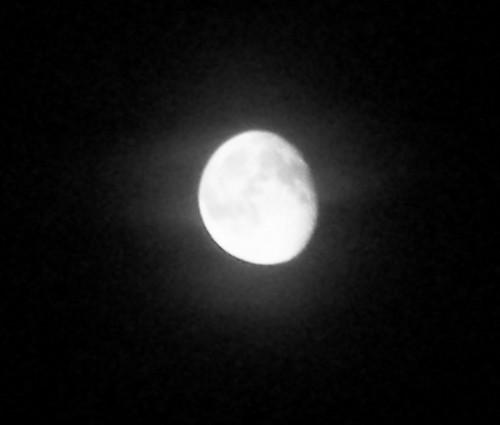 Moonlight