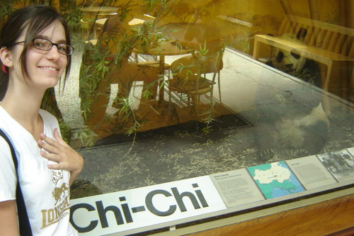 Chi chi