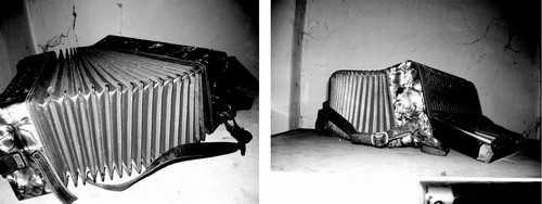 stupid photography of accordion.