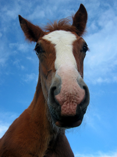 ;p