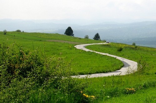 MY WaY