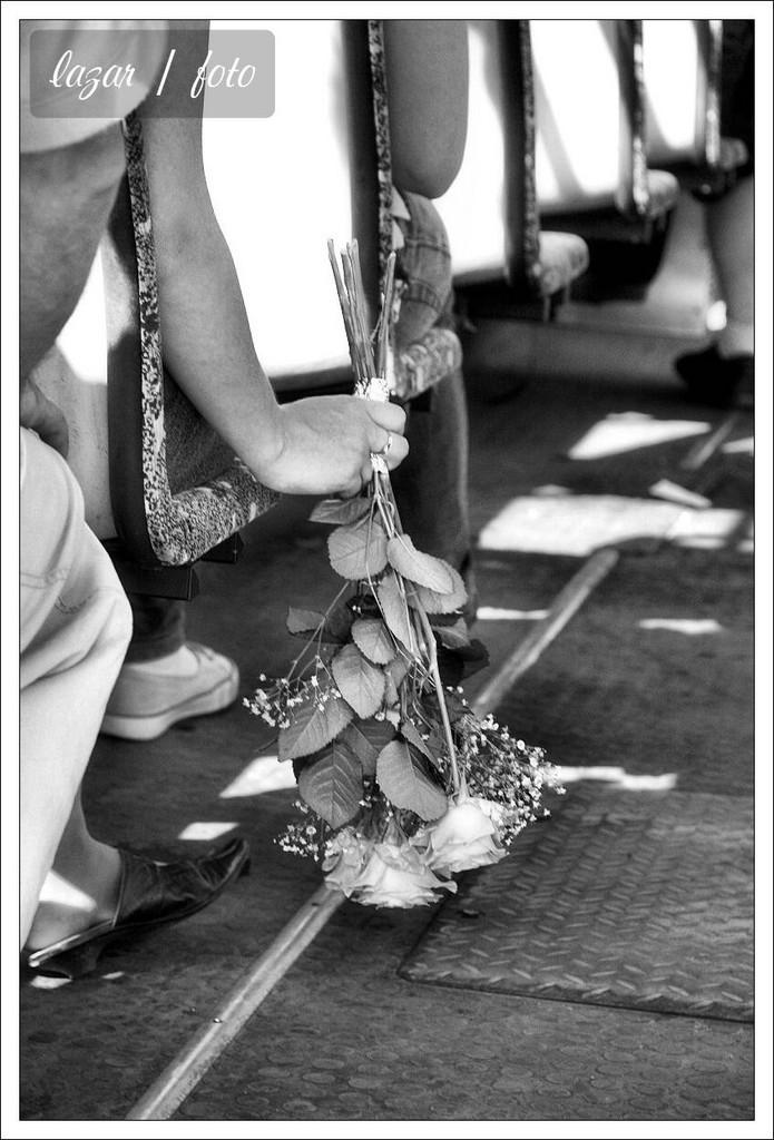 Feminapolis