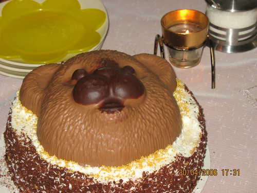 Torcik