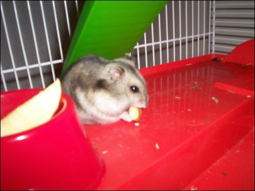 R.I.P. Lena