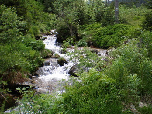 tatry 