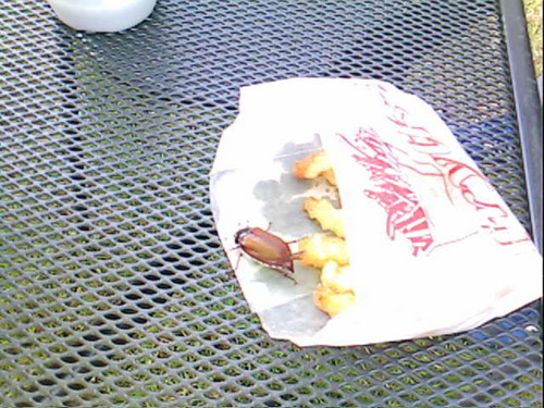 Buon Apetit :)