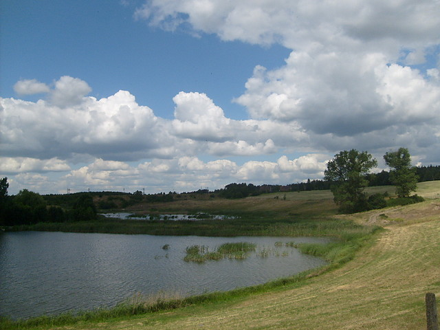 Wakacje