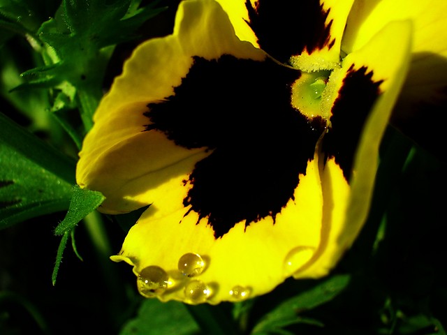 Sensitive