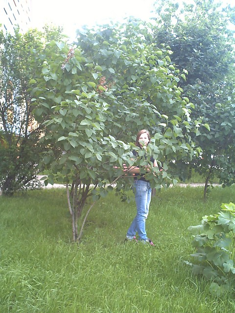 W krzaczkach 