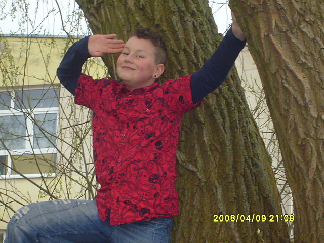 wierzba