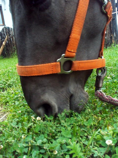 Chrapy < 3