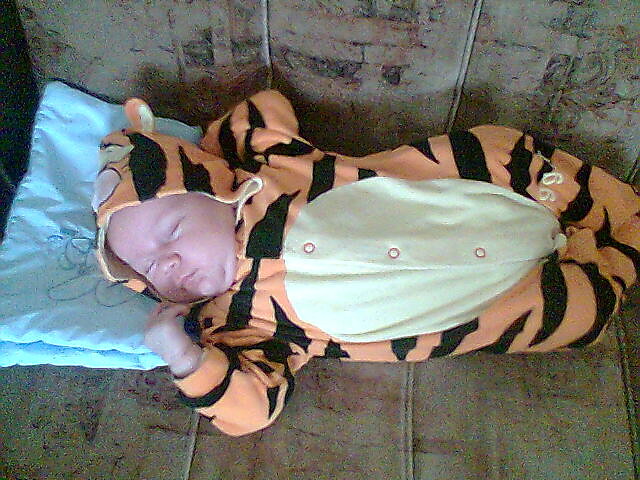 mj tajger