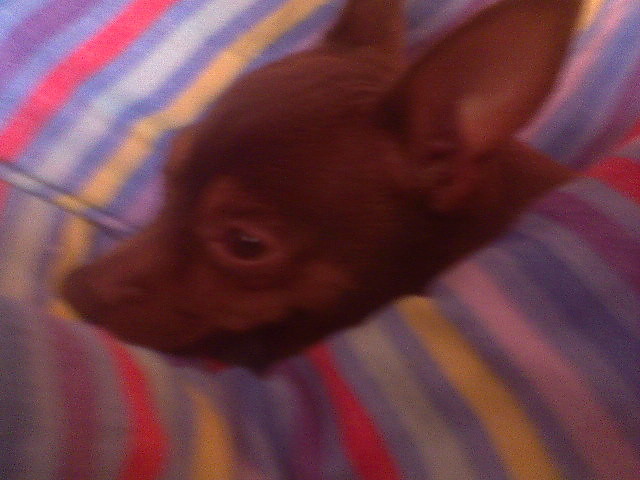 uuuu ;p