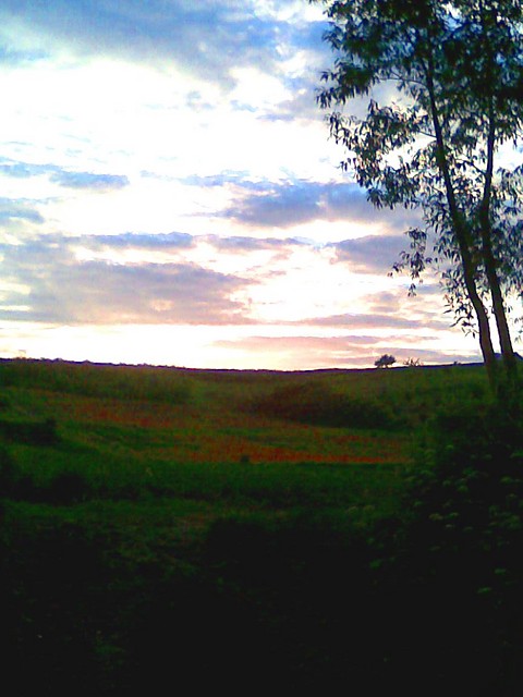 zdjcie sentymentalne