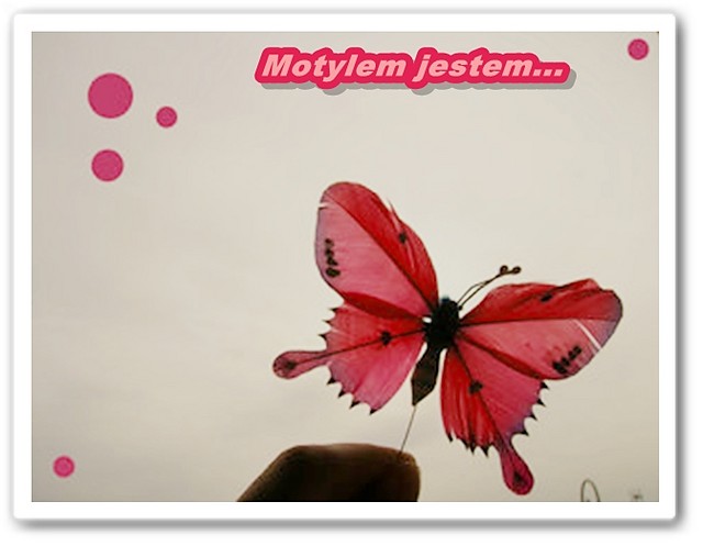 Motylem jestem... 