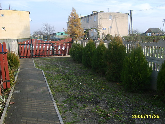 widok z mojego podwrka
