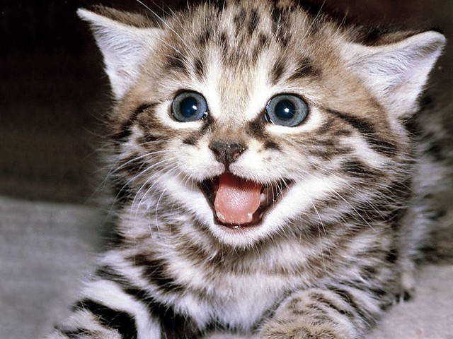 kisuuuuuuuuuuuuuuuuuuuuuuuuuuuur