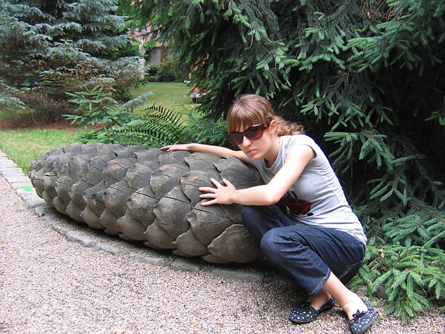 Misja sysunia