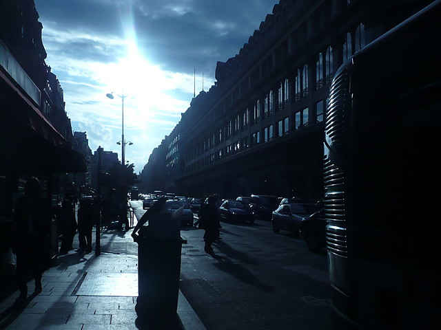 sunny light.