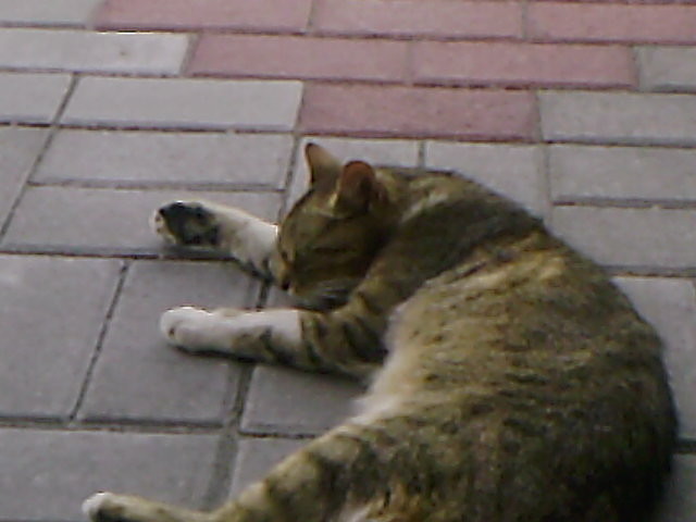 Dzie xD xP ;]